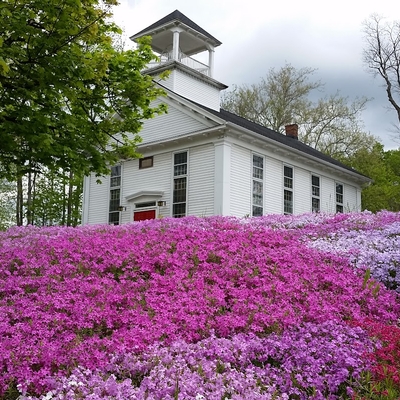 Andover Presbyterian Church Food Pantry & Thrift Shop