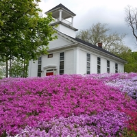 Andover Presbyterian Church Food Pantry & Thrift Shop