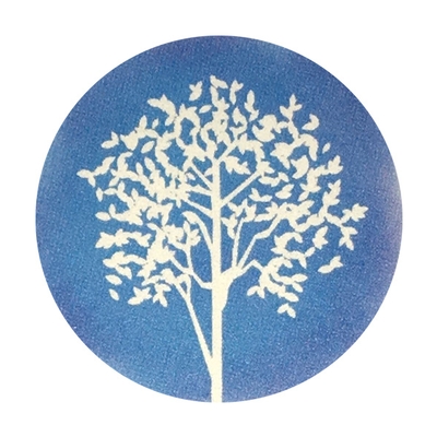 Tri-State Counseling, LLC (Demetra Vakkas, LPC)